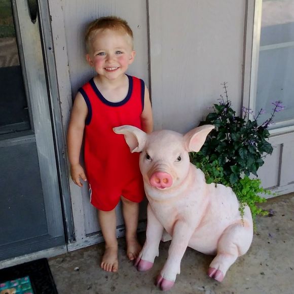 Meet your Posher, Mark - Picture 1 of 1